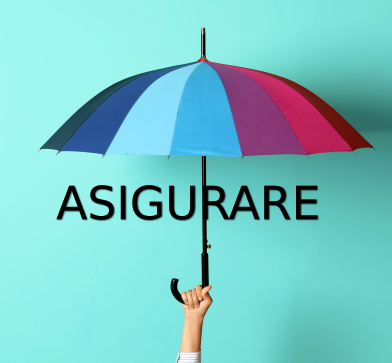 
            Servicii de Asigurari